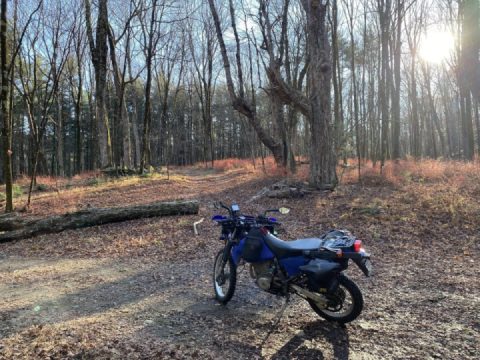 Sessions Meadow to Bears Den