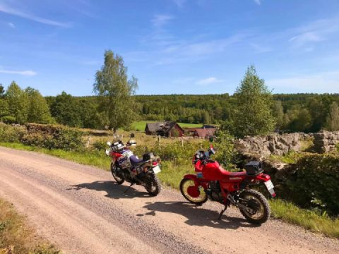 Out yesterday with a friend enjoying the gravel roads and forests of Sweden 
