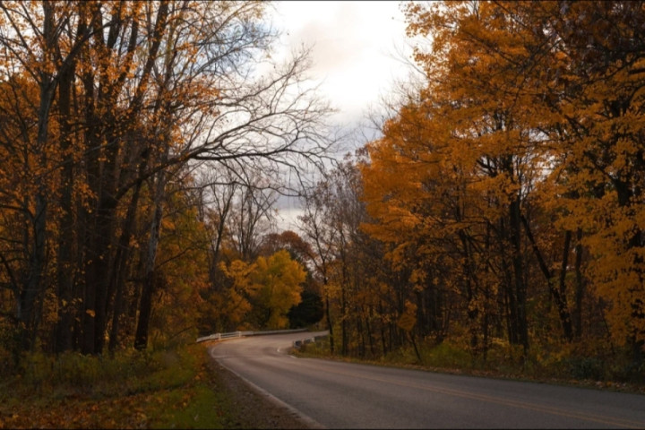 Autumn road somewhere in Ohio