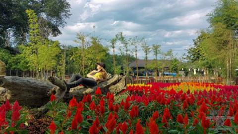 Motorcycle Rides are Pretty Cool in Thailand.❤