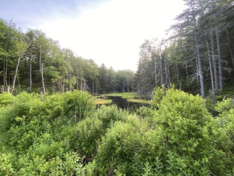 Every now and then, I find a hidden gem.