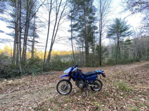 Channeling discovery. One trail at a time.