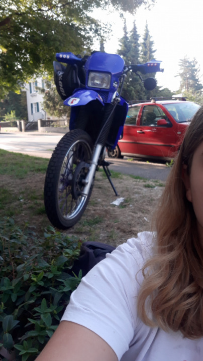 Einen wunderschönen guten Morgen?