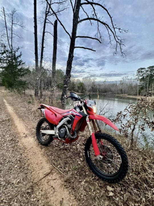 It ain’t easy being me! 37° it’s official, Winter is here in the Piney woods of East Texas!