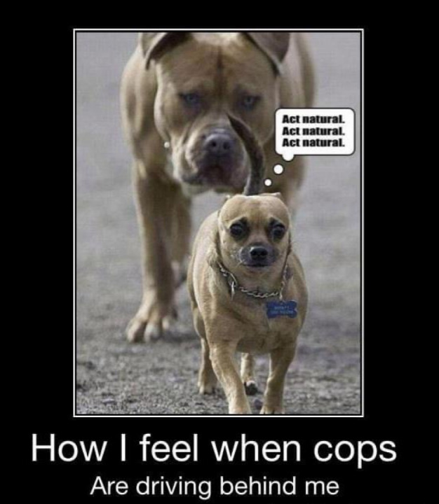 This is how we all feel the moment we look in our mirrors and see a cop ?‍♀️