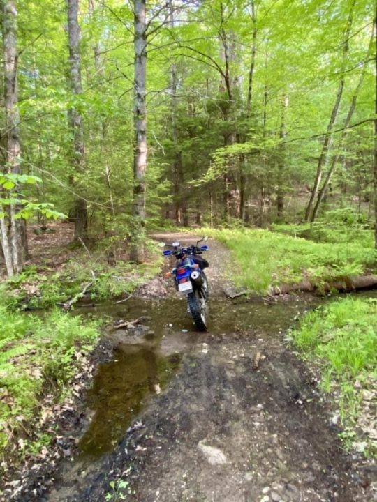 From the Land aSunder. 