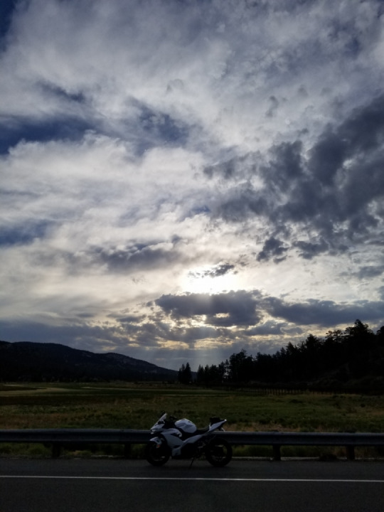 This morning's meditation