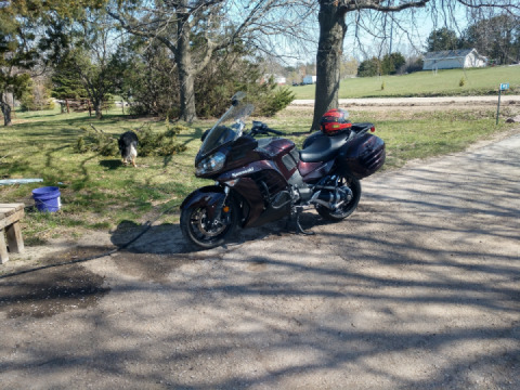 Bath time for connie! Spring is finally here!