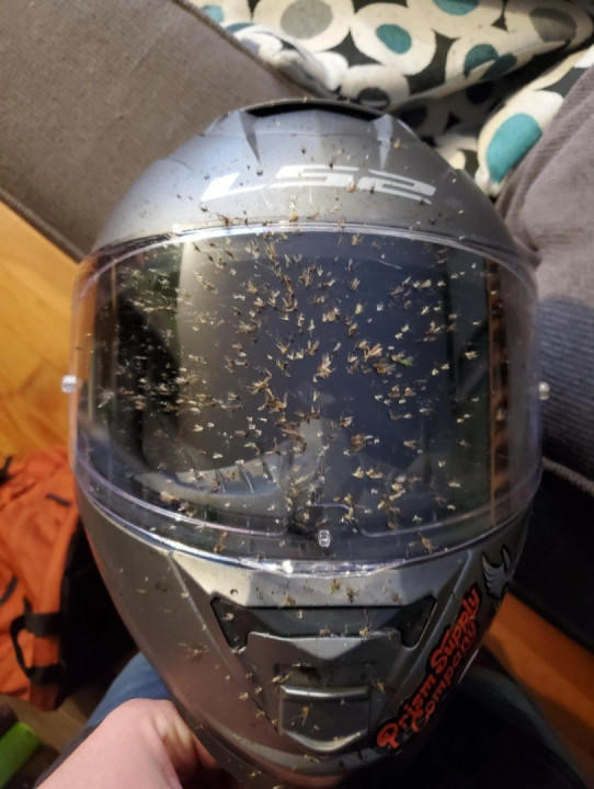 About an hour on the highway after dark