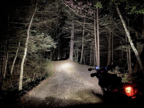 All day and all of the night