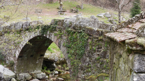 Ride with Rivers Ave, Vez and Coura at our side