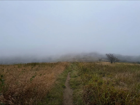 Early morning in the mountains