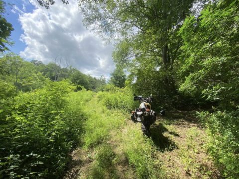 Channeling discovery again, and again …