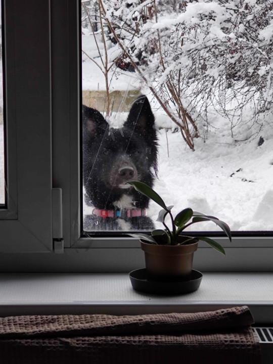 Hey, how are you coping with the winter there?