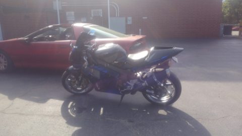 What Have We Done?!?!