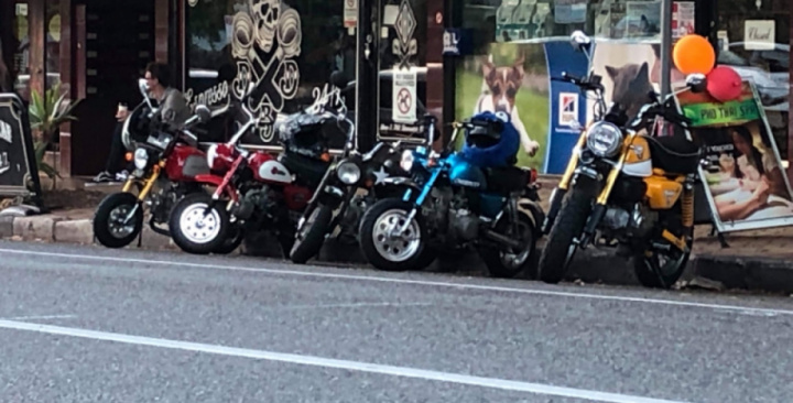 Monkey meet up