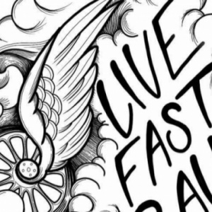 Live Fast Rally 3