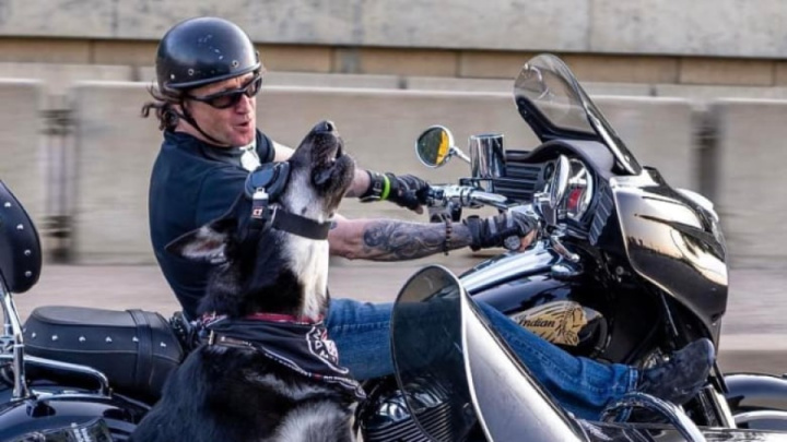 Fort McMurray man and motorcycle-riding dogs raise $200,000 for charity