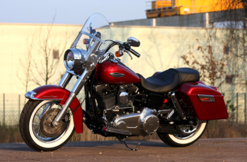 Сustomized Thunderbike Harley-Davidson Switch Back