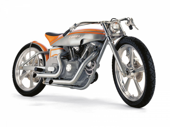 Harley Davidson Cobra Trakker by Denny Berg