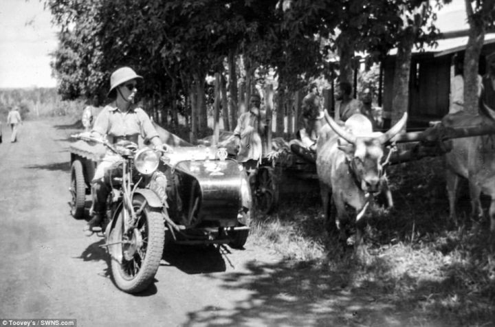 Theresa Wallach (pictured on her bike riding alongside cattle) and Florence Blenkiron rode their 600cc single-cylinder Panther motorcycle - complete with sidecar - from London to Cape Town in 1934