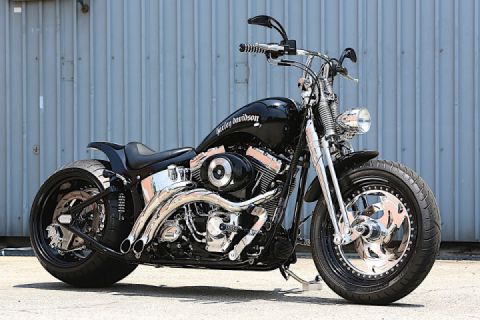 Harley-Davidson Hi Lows Rocks One Stubby and Seriously Fat Rear Wheel