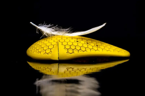 Clever kit is creating a real buzz: How honeycomb structures inspire new lighter, thinner body armour