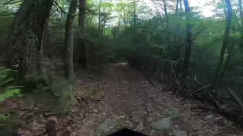 Daily tread