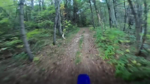 Da’ Spencery roots