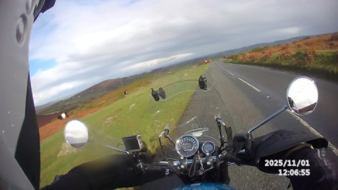 After the 22-minute cow queue, I came across a variety of moorland residents     ‍♂️ ..