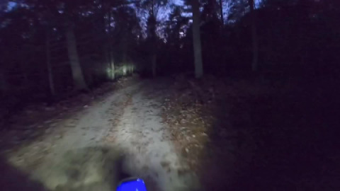 Carl Ericson Bridge and beyond