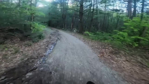 Tom Swamp Rd Petersham, MA