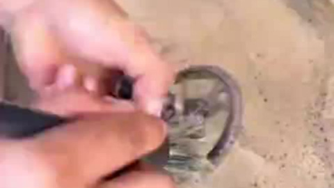 Service full set R1250GSA