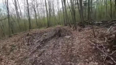 Poke du jour