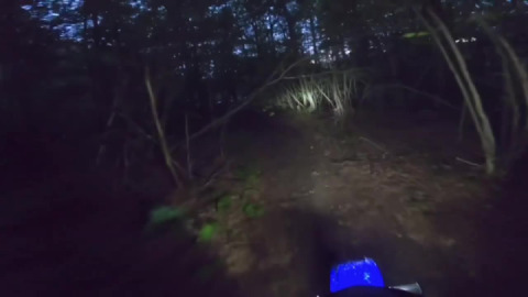 Sharing a recently discovered trail by the river with my favorite gal