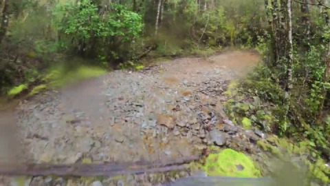 Rainy day ride up through a beech-podocarp forest