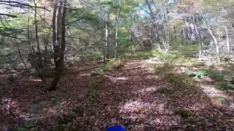 Salmon trail B section