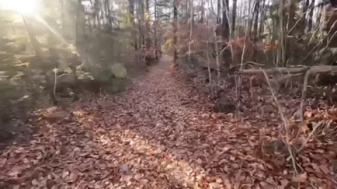 Two, to go. (With fries and a pickle)