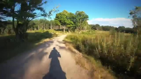 Me and my shadow
