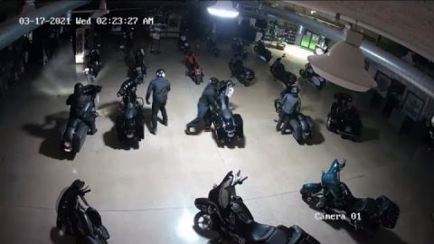 Thieves roll right out of front door of dealership with stolen Harleys