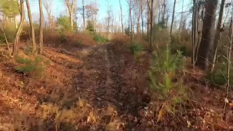 Exploring. It’s what I like to do. A motorcycle makes it easy.