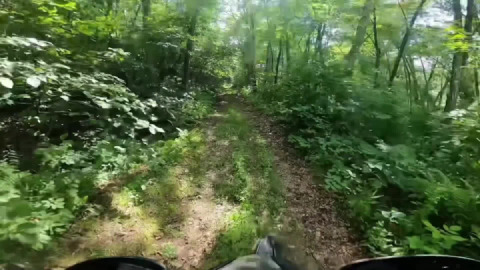 More new-to-me local trails.…