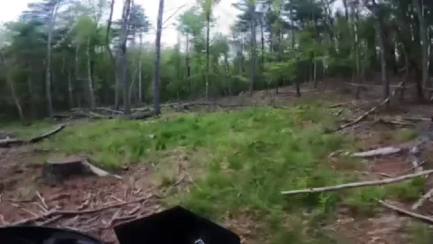 Out in the sticks