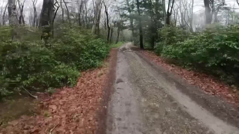 Rainy day rompin’