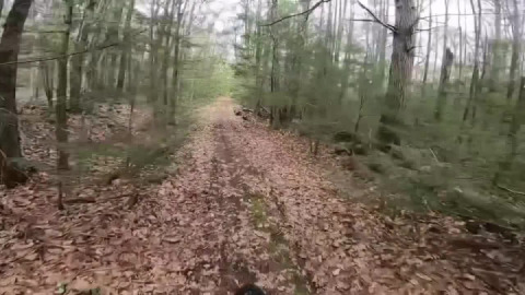 Exploring a few new-to-me spots in central Massachusetts