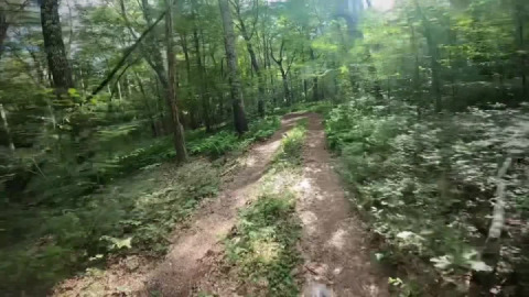 Even more new-to-me local trails