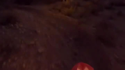 To try and beat the heat