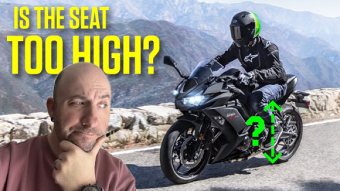 Best Motorcycles For Short Riders In Every Category