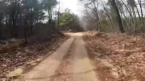 Scenic scoot (Past the Grand Trunk Trail etc.,)