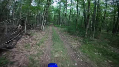 A nice new-to-me side trail discovered and explored